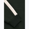 Bluza męska Pitbull San Diego Ca Hooded dark green 8