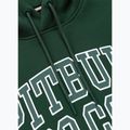 Bluza męska Pitbull So Cal Hooded hunter green 6