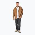 Bluza męska Pitbull San Diego Ca Hooded Zip honey yellow 4