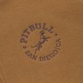 Bluza męska Pitbull San Diego Ca Hooded Zip honey yellow 10