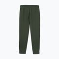 Spodnie męskie Pitbull Sampson Track Pants old green 5