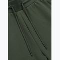 Spodnie męskie Pitbull Sampson Track Pants old green 6
