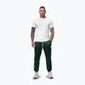 Spodnie męskie Pitbull Trackpants Tape Logo Terry Group bottle green 2