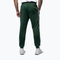 Spodnie męskie Pitbull Trackpants Tape Logo Terry Group bottle green 3