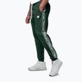 Spodnie męskie Pitbull Trackpants Tape Logo Terry Group bottle green 5