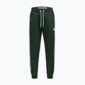 Spodnie męskie Pitbull Trackpants Tape Logo Terry Group bottle green 6
