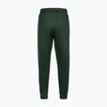 Spodnie męskie Pitbull Trackpants Tape Logo Terry Group bottle green 7
