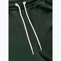 Spodnie męskie Pitbull Trackpants Tape Logo Terry Group bottle green 8