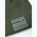 Czapka zimowa Pitbull Beanie Dock grassy green 2