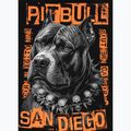 Bluza męska Pitbull Crewneck Blacky black 7