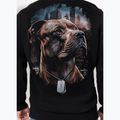 Bluza męska Pitbull Hero Hooded black 3