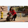Kurtka damska Pitbull Angela San Diego Hooded Varsity fluo/red 19