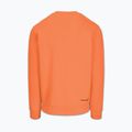 Bluza męska Pitbull Dogwood Crewneck Sweatshirt fluo orange 5