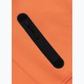 Bluza męska Pitbull Dogwood Hooded Sweatshirt fluo orange 7