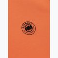 Bluza męska Pitbull Dogwood Hooded Sweatshirt fluo orange 8