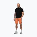 Spodenki męskie Pitbull Dogwood Sport fluo orange 4