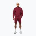 Bluza męska Pitbull Sampson Crewneck Sweatshirt burgundy 2