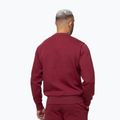 Bluza męska Pitbull Sampson Crewneck Sweatshirt burgundy 3