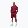 Bluza męska Pitbull Sampson Crewneck Sweatshirt burgundy 4