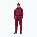 Bluza męska Pitbull Sampson Hooded Sweatshirt burgundy 2
