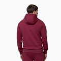 Bluza męska Pitbull Sampson Hooded Sweatshirt burgundy 3