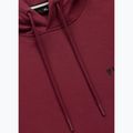 Bluza męska Pitbull Sampson Hooded Sweatshirt burgundy 9