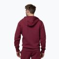 Bluza męska Pitbull Sampson Hooded Zip Sweatshirt burgundy 3