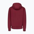 Bluza męska Pitbull Sampson Hooded Zip Sweatshirt burgundy 6