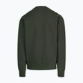 Bluza męska Pitbull Tape Parker Crewneck old green 6