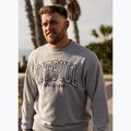 Bluza męska Pitbull Badger Crewneck grey/melange 11