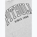 Bluza męska Pitbull Badger Hooded grey/melange 9