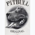 Bluza męska Pitbull Midnight Sweatshirt Hooded off white 9