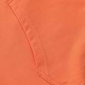 Bluza męska Pitbull Bloodline 2 Sweatshirt Hooded fluo orange 12