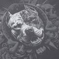 Bluza męska Pitbull World Sweatshirt Zip Hooded graphite 11