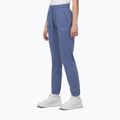 Spodnie męskie Pitbull Sierra blue jeans 4