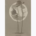Koszulka męska Pitbull Palms light grey harbour 7