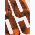 Koszulka męska Pitbull Eighty Nine Dog Tank Top white 10