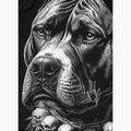 Rashguard longsleeve męski Pitbull Blacky Rashguard 8