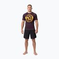 Koszulka męska Pitbull Rashguard Logo Palms brown 2
