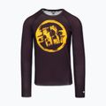 Rashguard longsleeve męski Pitbull Rashguard Logo Palms brown 3