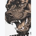 Koszulka męska Pitbull Best Coast white 12
