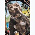 Koszulka damska Pitbull Beach Girl black 11