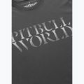 Koszulka męska Pitbull World graphite 4