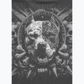 Koszulka męska Pitbull World graphite 5