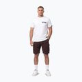 Koszulka męska Pitbull Avenue white 2