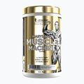 Przedtreningówka Fitness Authority Levrone Gold Maryland Muscle Machine 385 g fruit punch