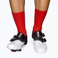 Skarpety Luxa Classic red 2