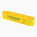 Zestaw taśm materiałowych do ćwiczeń FORCEBAND Mini Band 5 szt. + E-BOOK multicolor 3