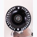 Deskorolka surfskate Fish Skateboards Surfkate Ours 9.37" 6