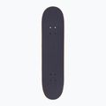 Deskorolka klasyczna Fish Skateboards Beginner Erie 8.0" 2